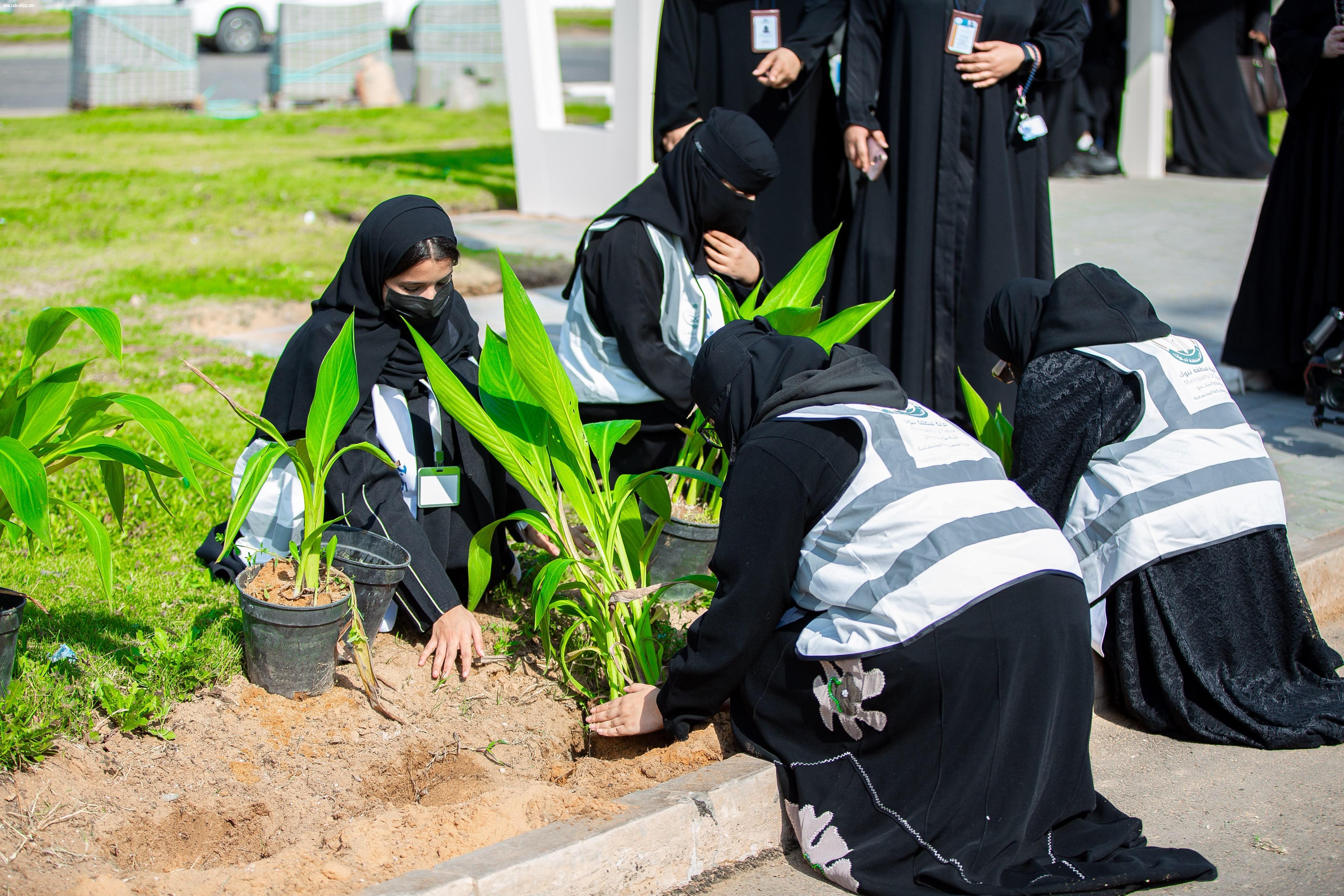 أمانة تبوك تزرع 4,630 شجرة و625 ألف زهرة خلال النصف الأول من 2026 