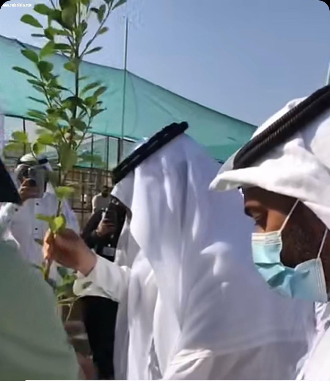 محافظ أبوعريش يدشن مبادرة  معالجة مظاهر التشوه البصري  بالمحافظة