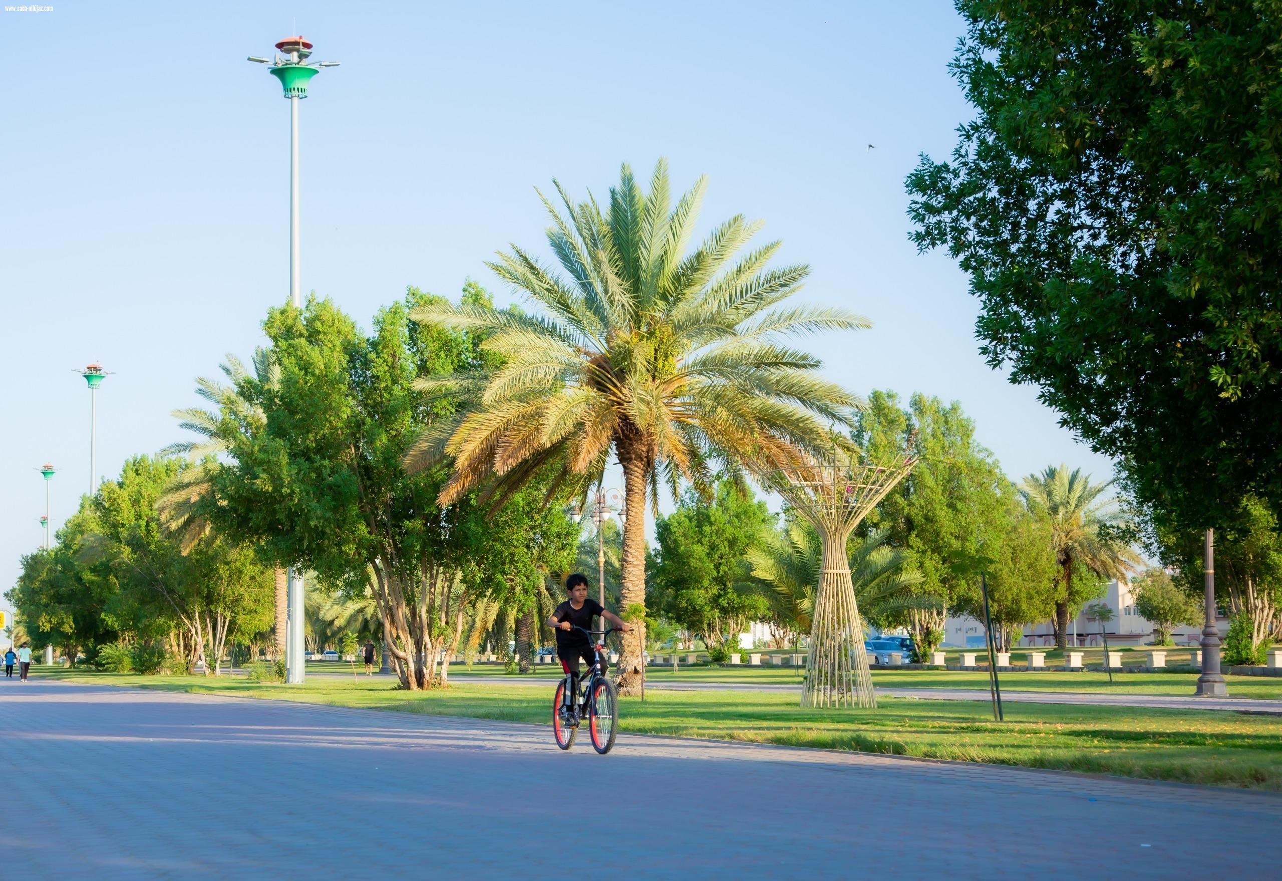 تبوك تزدهر بـ 241 حديقة وواجهة بحرية مع نهاية عام 2025