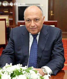 وزير الخارجية المصري يلتقي بنظيره الألماني