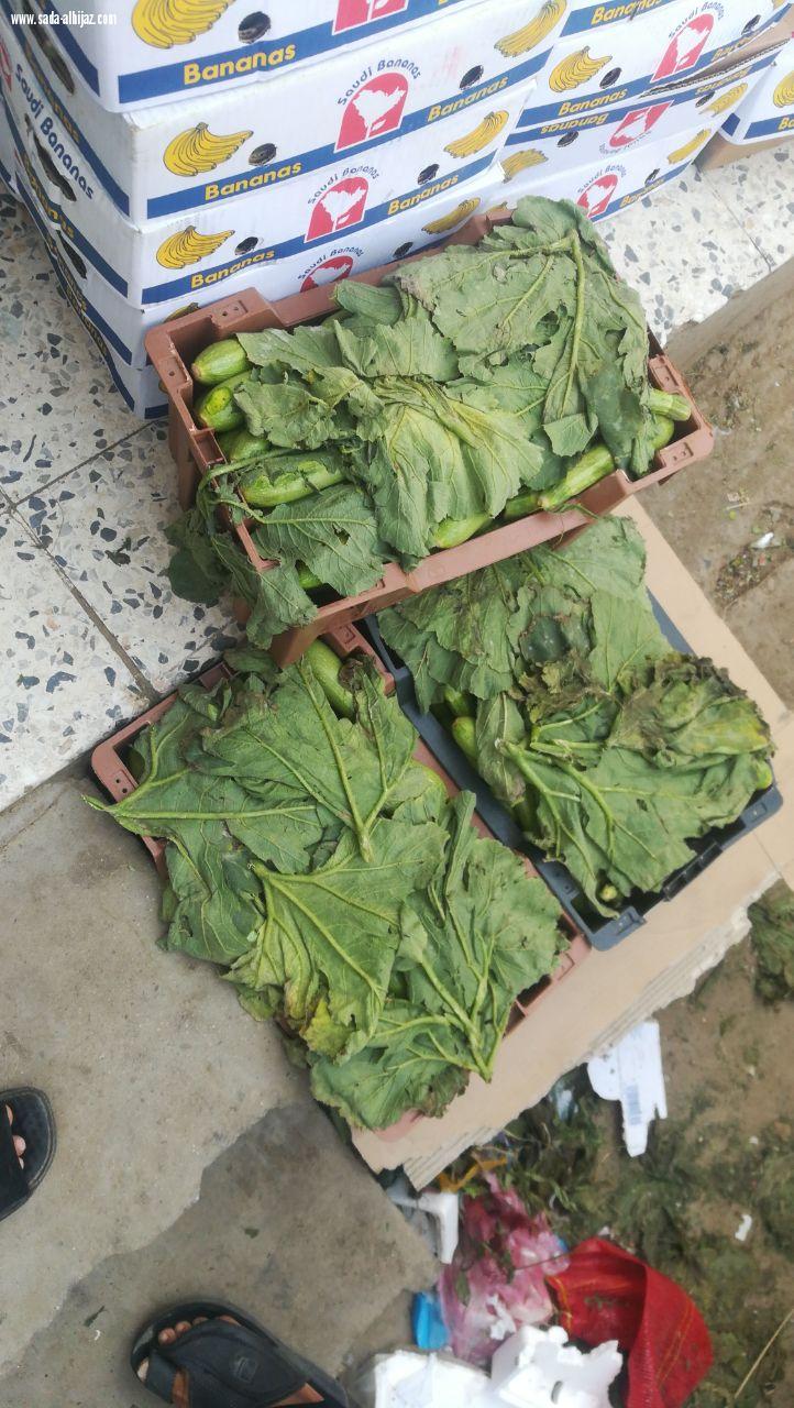 بلدية صامطة تصادر 218 كلجم من الخضروات والفواكه والأسماك من الباعة الجائلين