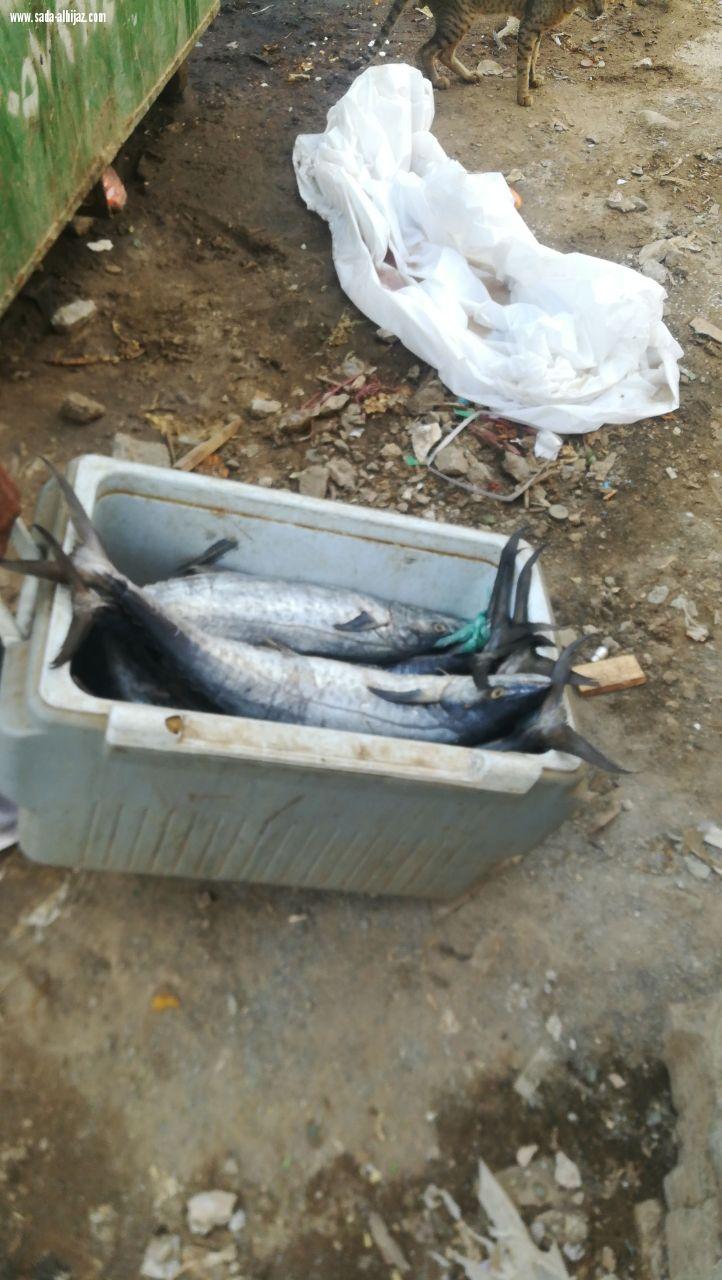 بلدية صامطة تصادر 218 كلجم من الخضروات والفواكه والأسماك من الباعة الجائلين