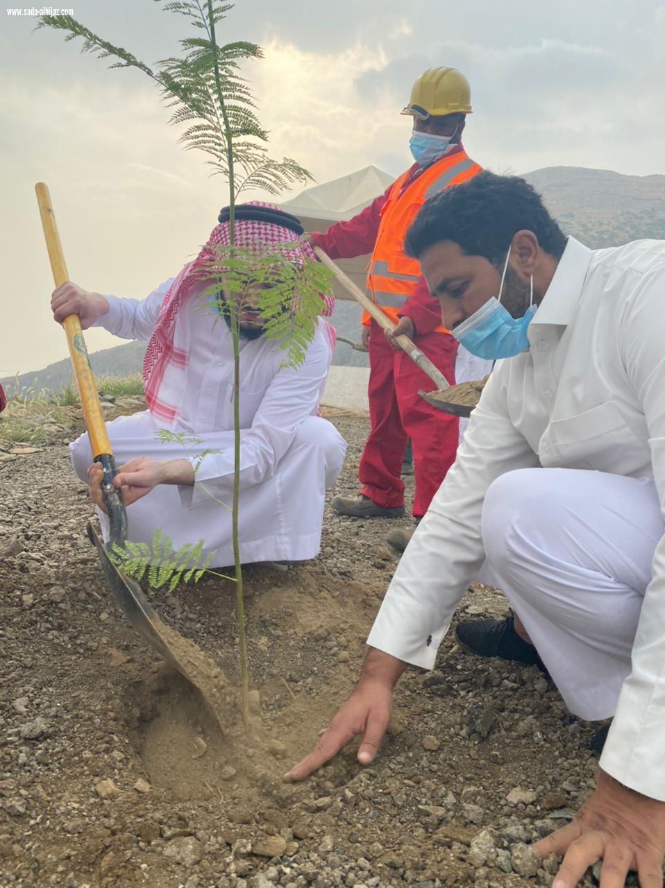 *فريق لجنة شباب المندق التطوعي ينظم مبادرة تشجير طريق الحسام*