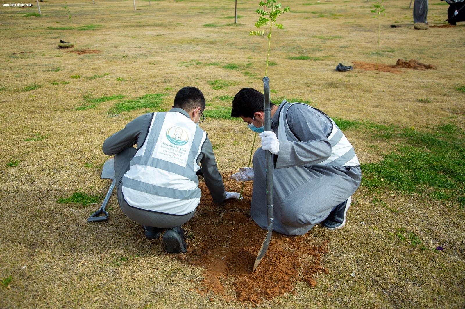 التطوع البلدي بتبوك: 785 متطوعًا و16,673 ساعة تطوعية خلال الربع الأول  