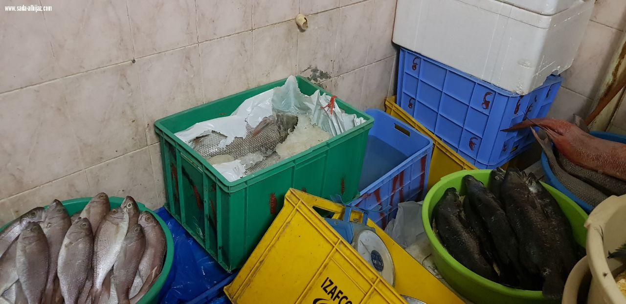 مصادرة اكثر من 5 طن من اللحوم غير صالحة بمكة