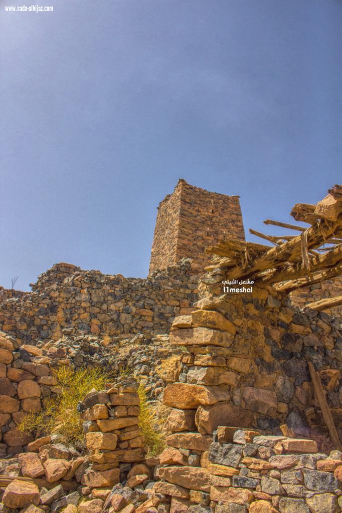 أغرب زافر جنوب غرب المملكة ..