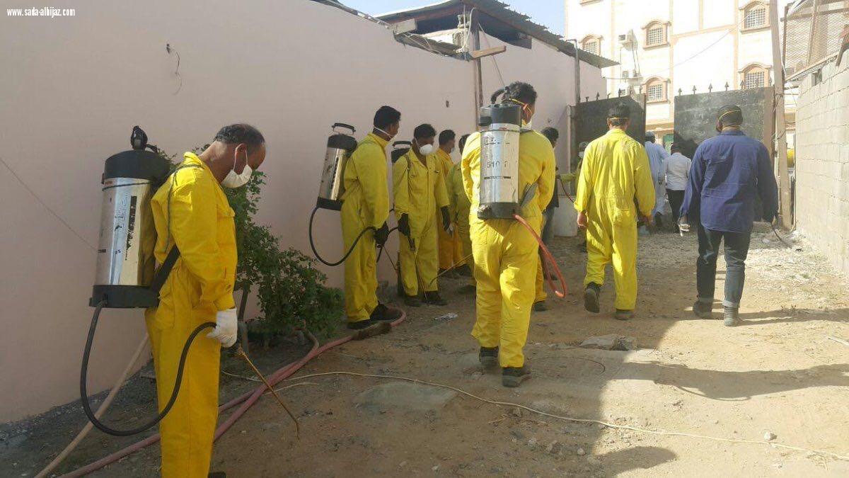 أمانة جدة تنفذ جولات مشتركةلمكافحة انفلونزا  الطيور 