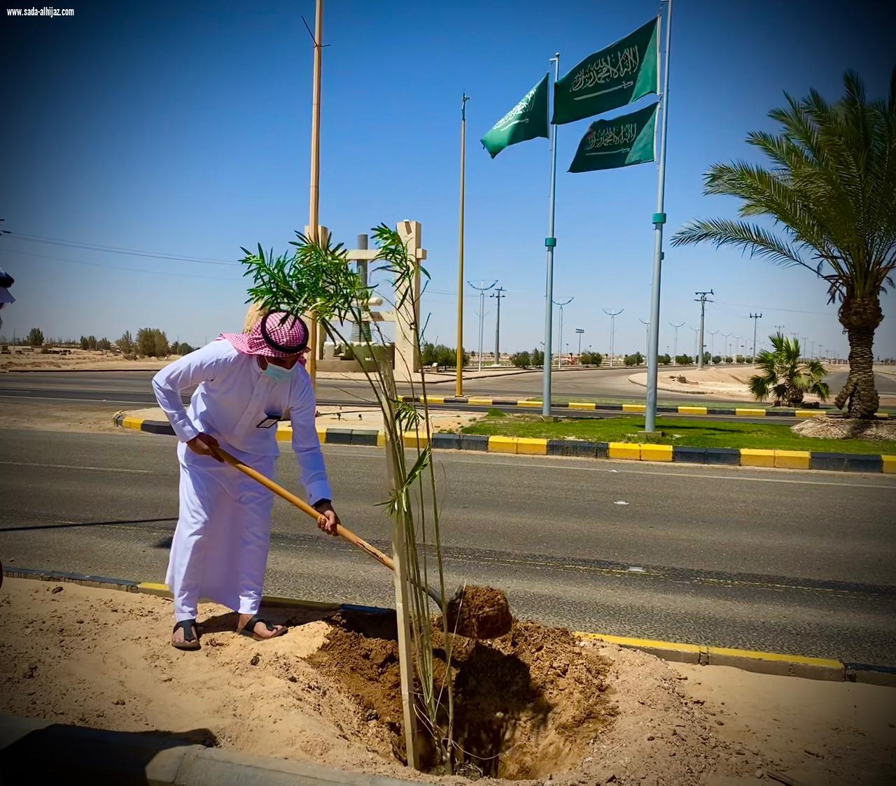 بلدية الناصفة تفعّل مبادرة التشجير            في الشوارع الرئيسية           