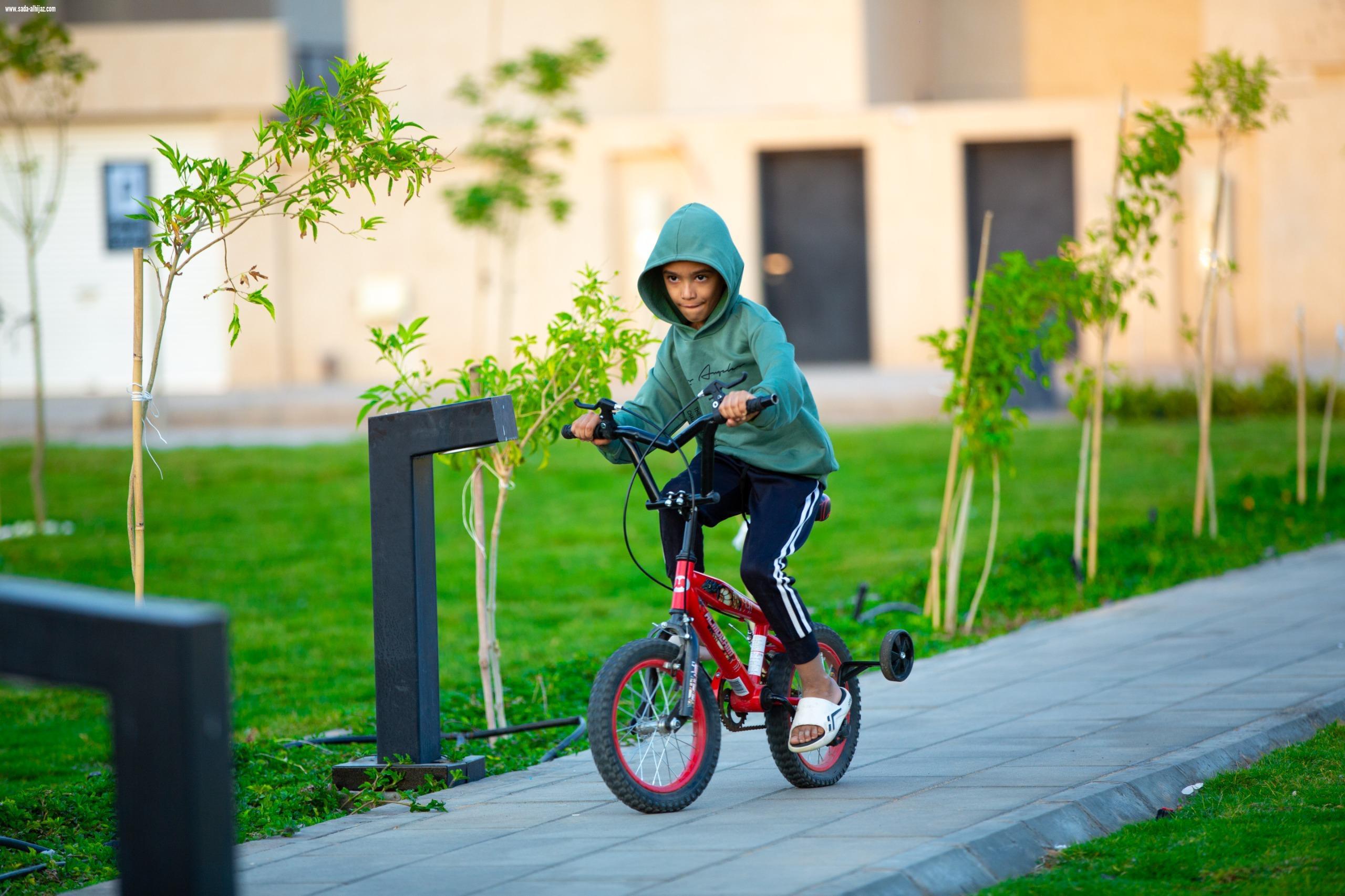 تبوك تزدهر بـ 241 حديقة وواجهة بحرية مع نهاية عام 2025