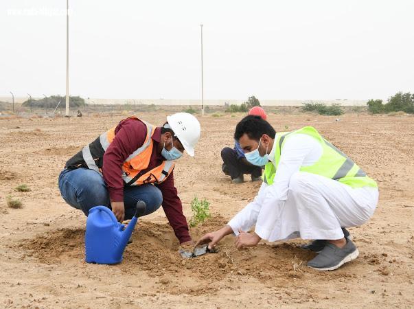 مياه جازان تزرع ٤٠٠٠ شتلة ضمن مبادرة 