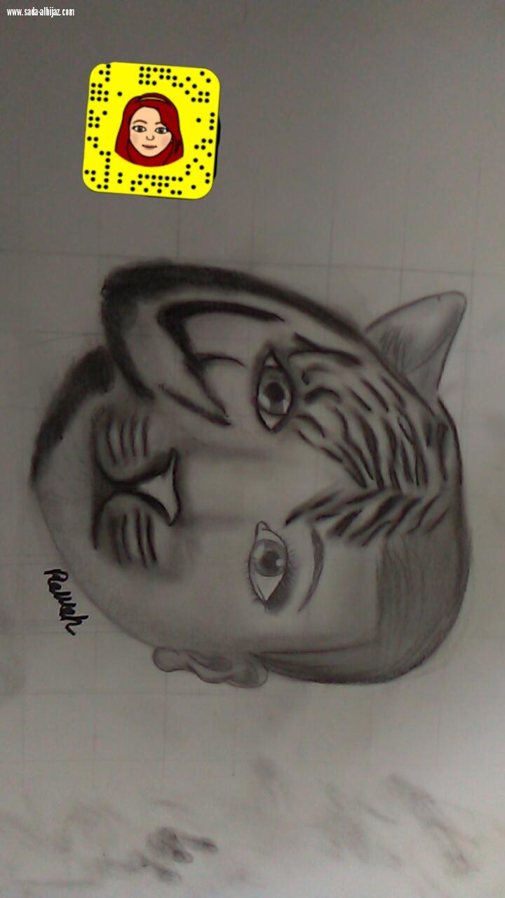 صدى الحجاز ولقاء خاص مع الفنانة التشكيلية روان محمد السحيبانى 