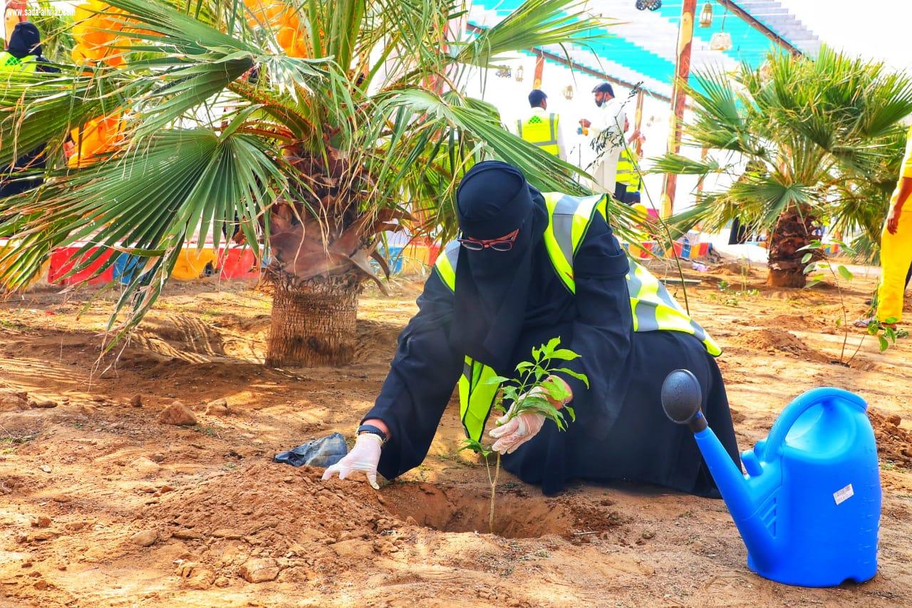 غرس 200 شتلة ومعالجة التشوهات البصرية برعاية التركي بلدية مركز القفل تطلق عدة مبادرات وأنشطة تزامناً مع اليوم العالمي للتطوع 2020م