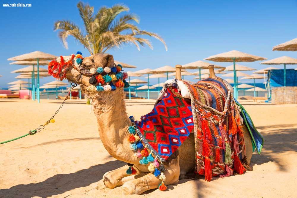 افضل خمس وجهات سياحية لعام 2019