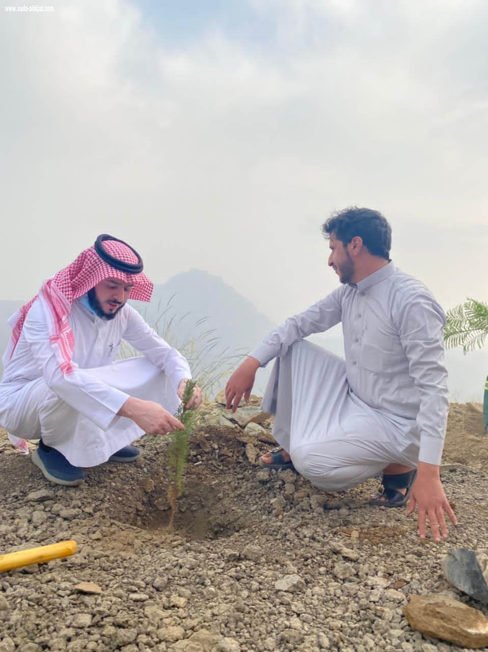 *فريق لجنة شباب المندق التطوعي ينظم مبادرة تشجير طريق الحسام*