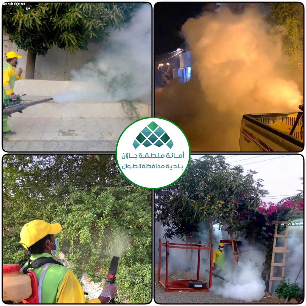 بلدية محافظة الطوال تكثف أعمال الإصحاح البيئي ومكافحة آفات الصحة العامة