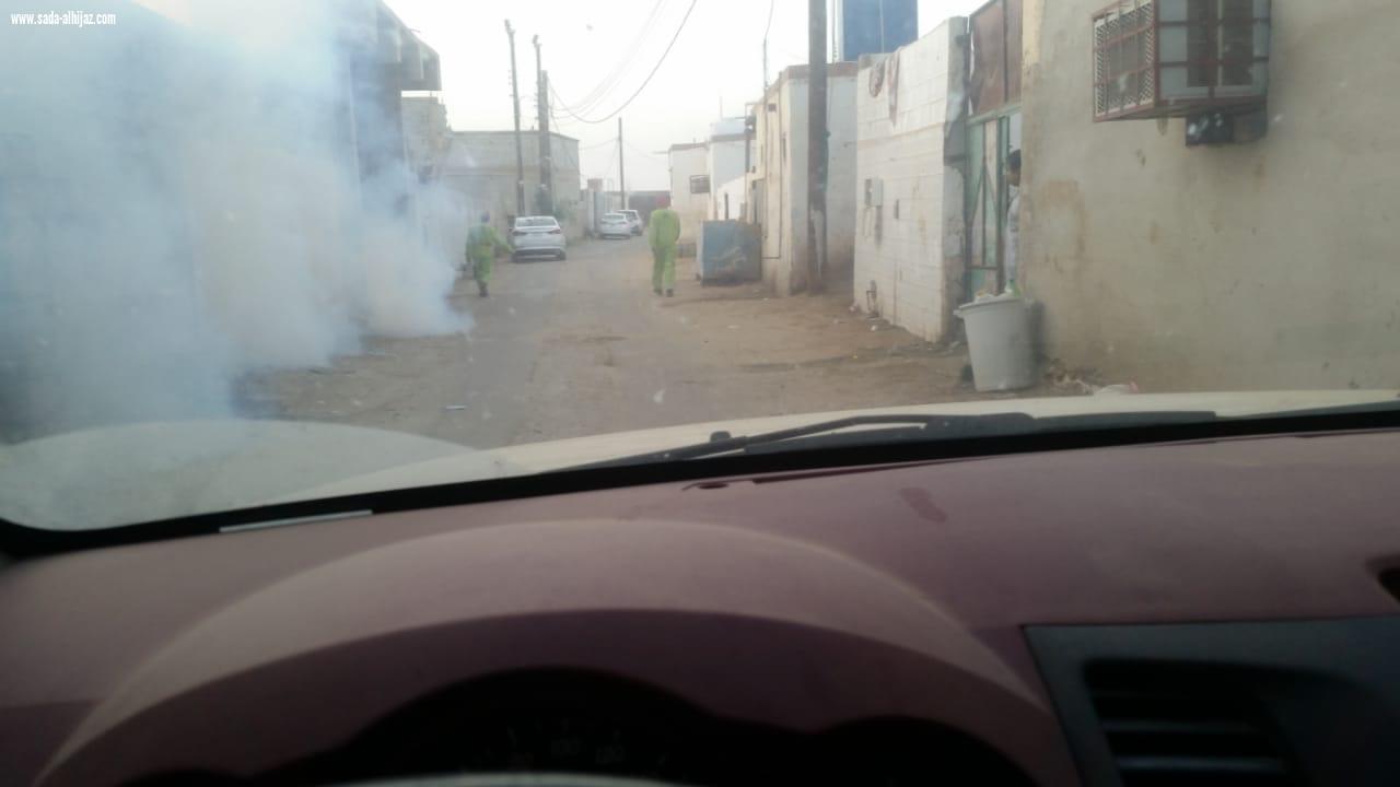 بتوجيهات ومتابعة  علوان  بلدية مركز الموسم تشن حملة مكثفة على اعمال النظافة والإصحاح البيئي