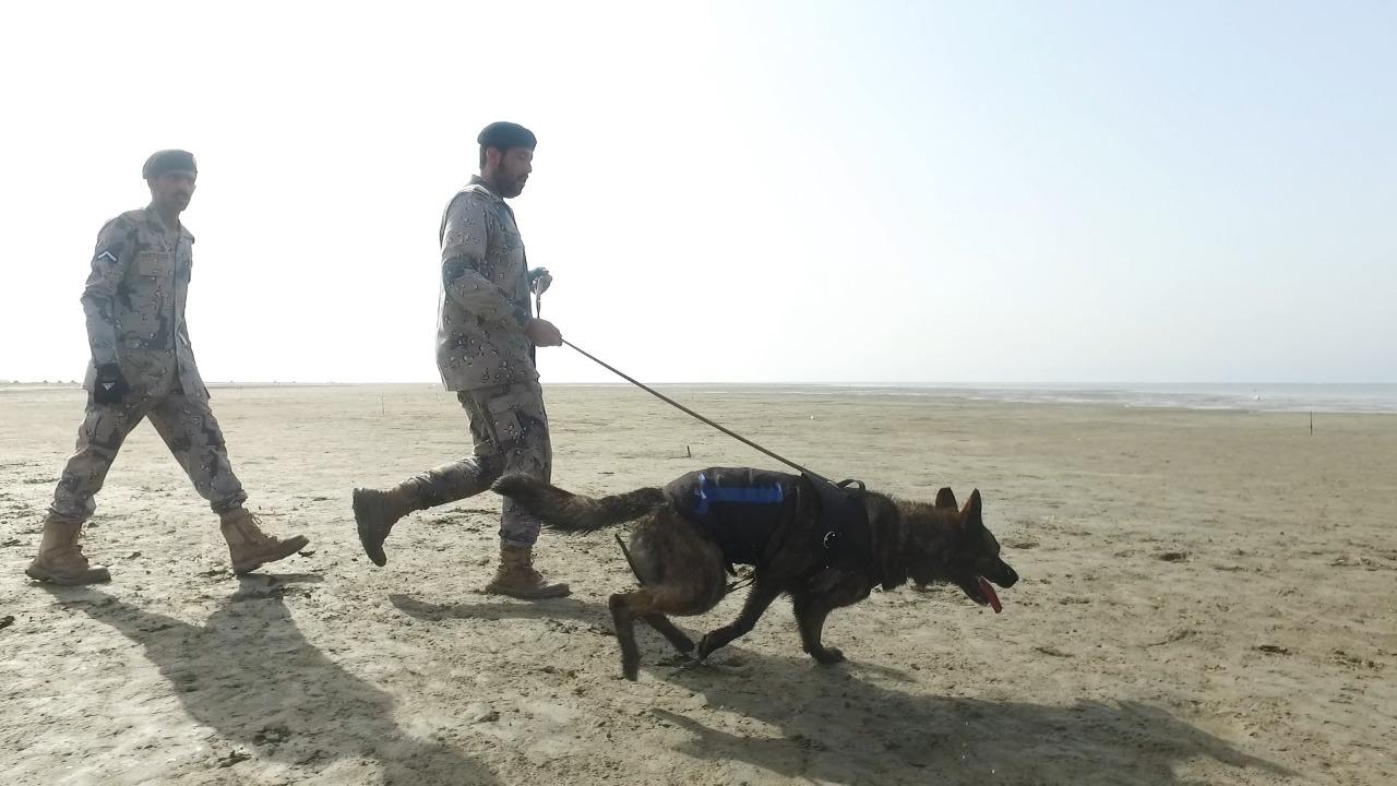 تنفيذ التمرين العملي للخطة الوطنية لمواجهة الكوارث البحرية بمياه المملكة العربية السعودية بحضور أكثر من ٢٩ جهة