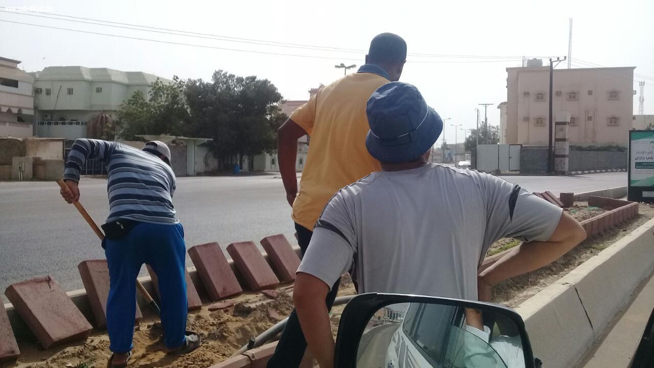 بلدية محافظة الطوال تبدأ بمشروع تحسين وتجميل مداخل ومخارج المحافظة