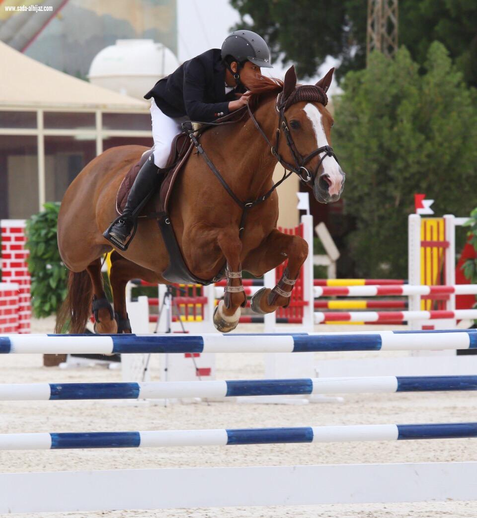 فعاليات مصاحبة وجوائز للمشاركين في بطولة الفرسان المحترفين الأولى لقفز الحواجز والتي تنطلق اليوم بالرياض