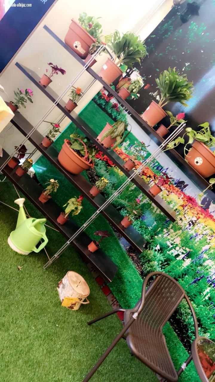 لجنة التنمية الإجتماعية تطلق فعاليات  ملتقى إثراء الصيفي تحت مظلة لجنة التنمية السياحية