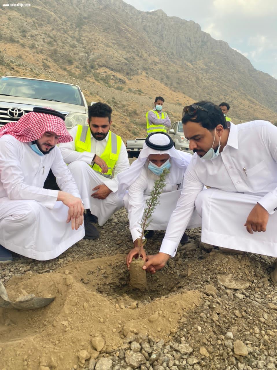 *فريق لجنة شباب المندق التطوعي ينظم مبادرة تشجير طريق الحسام*