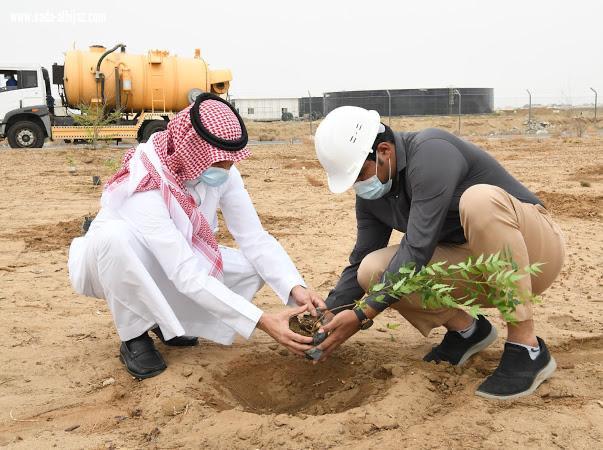 مياه جازان تزرع ٤٠٠٠ شتلة ضمن مبادرة 