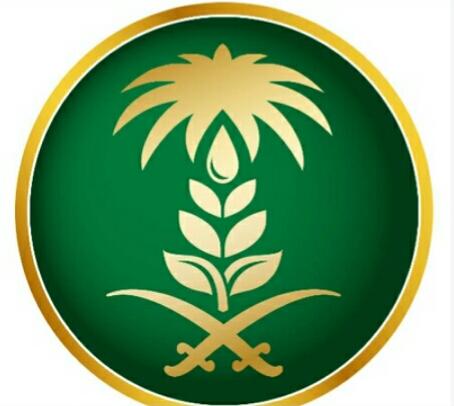 البيئة  تصريف40 مليون متر من سد حلي للري مزارع القنفذة 