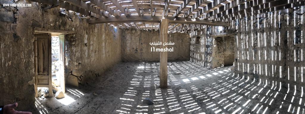 أغرب زافر جنوب غرب المملكة ..