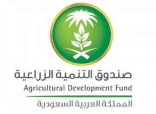 صندوق التنمية الزراعية يعتمد قروضًا وتسهيلات ائتمانية بقيمة تجاوزت 337 مليون ريال
