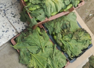 بلدية صامطة تصادر 218 كلجم من الخضروات والفواكه والأسماك من الباعة الجائلين