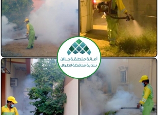بلدية محافظة الطوال تكثف أعمال الإصحاح البيئي ومكافحة آفات الصحة العامة