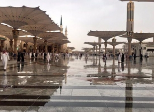 (المطر في السعودية)