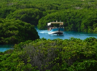 تقديم ملف محمية جزر فرسان لتسجيلها في اليونسكو