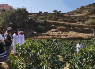 جمعية التراث تبدأ رحلتها لتوثيق بن الداير ضمن التراث العالمي في (اليونسكو) 