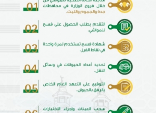 البيئة