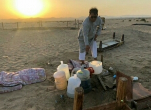 بائعي حليب الإبل في قبضة الأمانة 