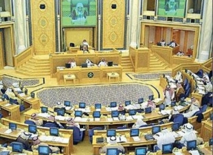 خمسة شروط في مقترح منح الجنسية لأبناء المواطنة 