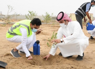 مياه جازان تزرع ٤٠٠٠ شتلة ضمن مبادرة 