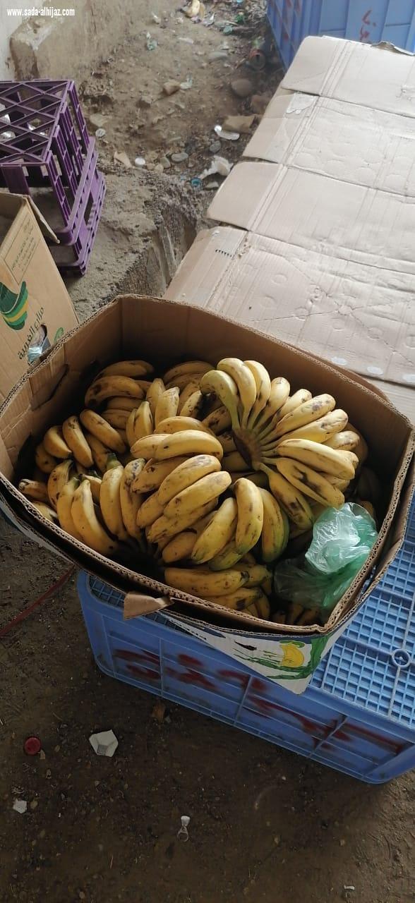 بلدية صبيا تصادر 2204 كيلو من المواد الغذائية منتهية الصلاحية