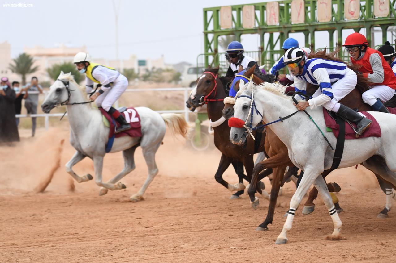 ستون ألف ريال جوائز الفائزين في المحفل الثالث على ميدان فروسية العقيق بالباحة