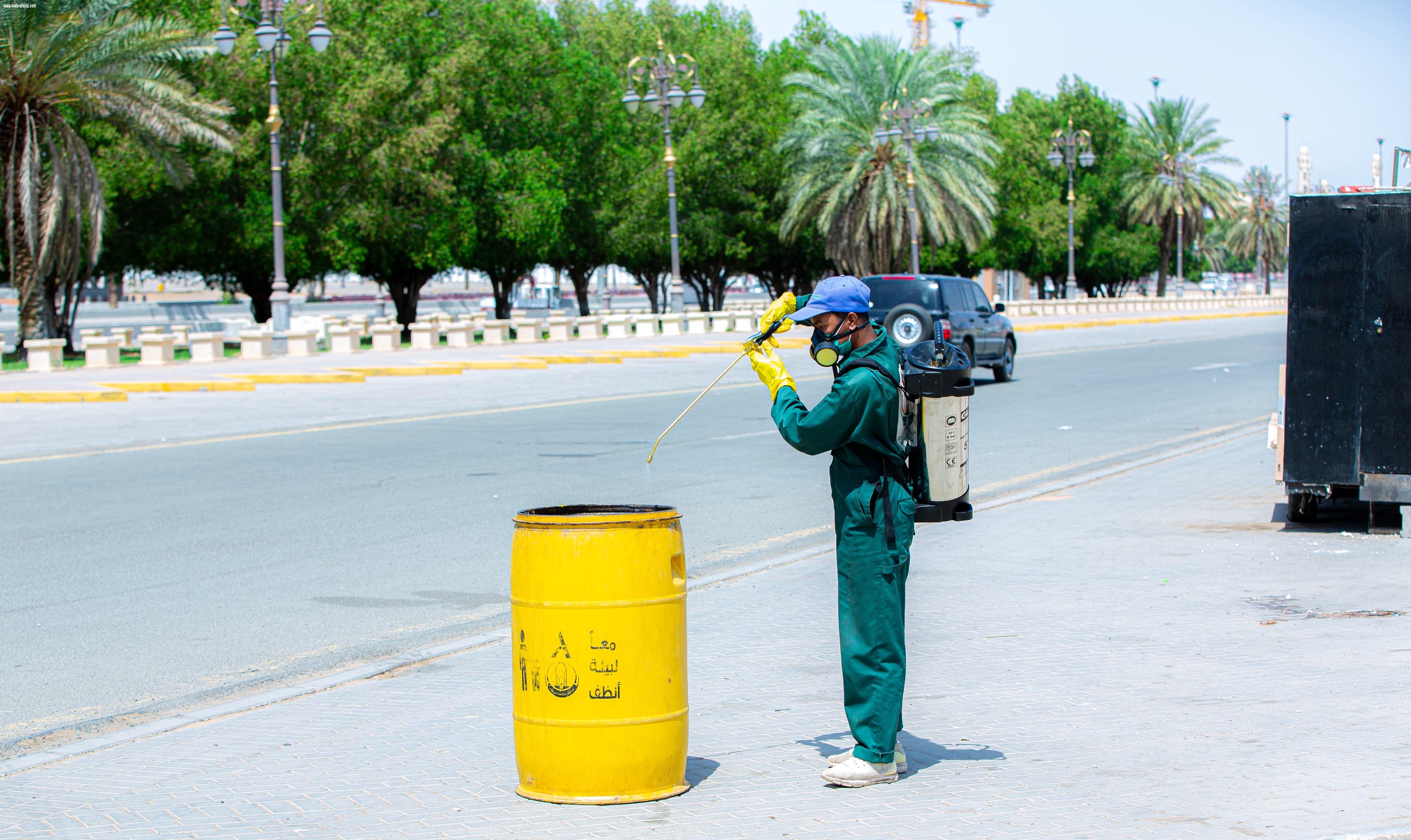 5 ملايين لتر مخفف من المبيدات ضمن جهود أمانة تبوك وبلدياتها التابعة للإصحاح البيئي خلال النصف الأول