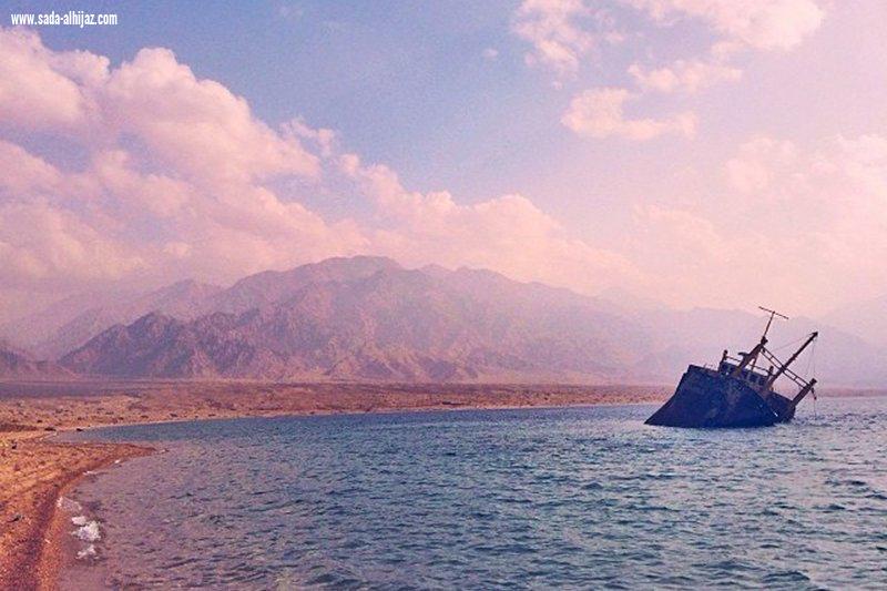 الجزر السعودية الكنز المفقود ذو الطبيعة الفاتنة... الأولى عربيًا وهذا ترتيبها عالميًا