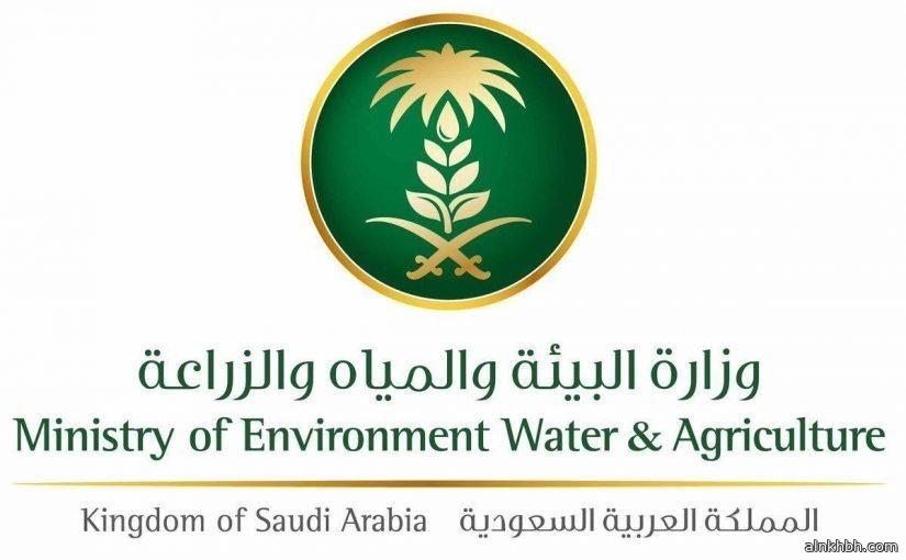 البيئة تطلق خدمة استيراد بذور التجارب للشركات والمؤسسات الزراعية