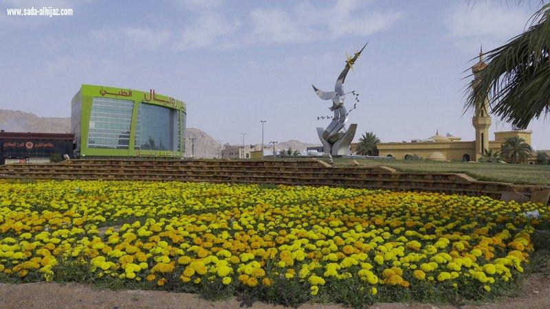 أمانة حائل تزرع مليون زهرة بالميادين وأمينها نؤمن بأهمية الرقعة الخضراء