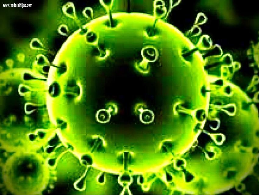 المنشدون وشعراء الساحة والقاعات يخالفون تدابير كورونا