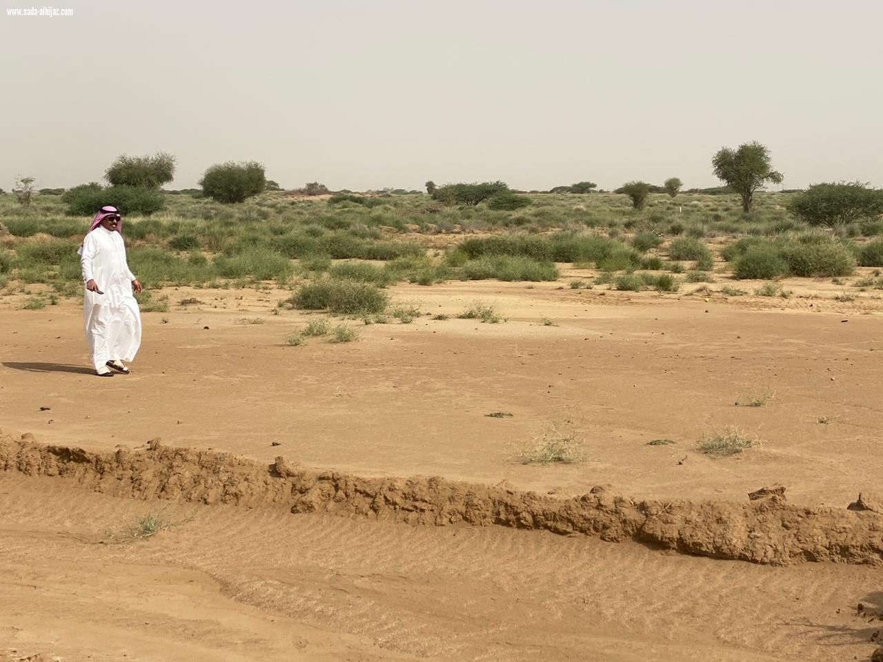 لجنة تعديات محافظة بيش تزيل 22 ألف متراً مربعاً  