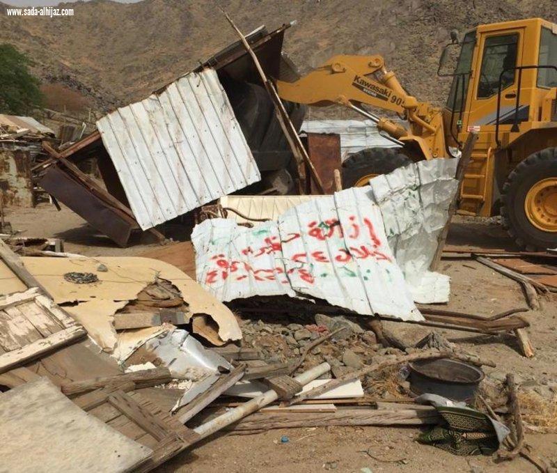 مكة.. إزالة 23 حظيرة عشوائية ومصادرة 27 رأسًا من الماشية بـ