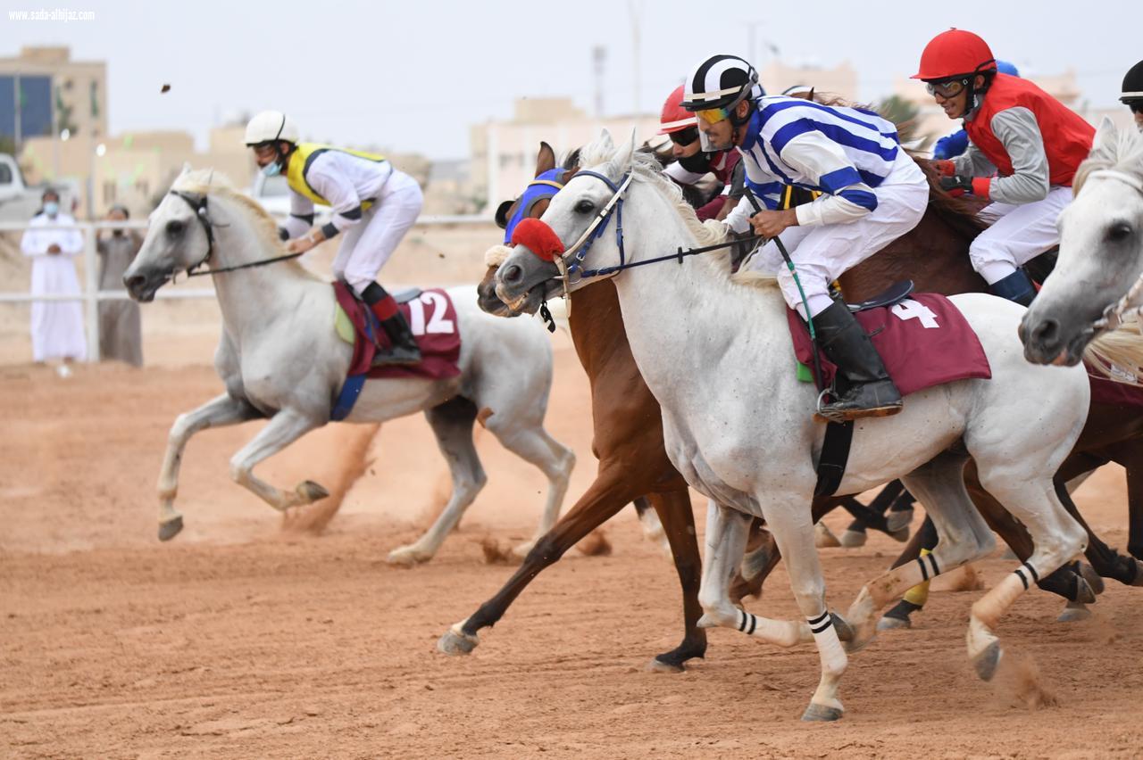 ستون ألف ريال جوائز الفائزين في المحفل الثالث على ميدان فروسية العقيق بالباحة