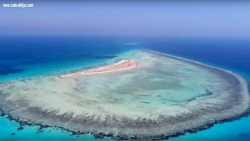 الجزر السعودية الكنز المفقود ذو الطبيعة الفاتنة... الأولى عربيًا وهذا ترتيبها عالميًا