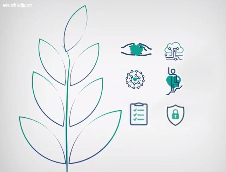 آمنة تنموية رقمية متكاملة إنسانية وزارات تنشر فيديو لحملة يعلن عن تفاصيلها قريباً